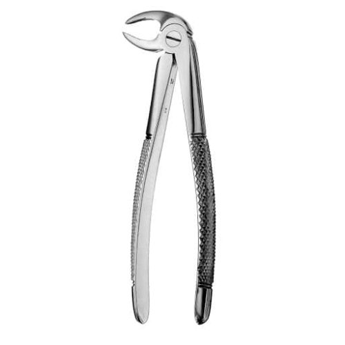 Forcep Adulto Pico Loro Grueso