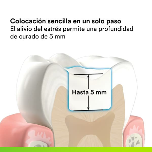 Composite Foto Filtek One Bulk Fill (Variedades)- Solventum