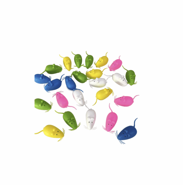 Ratón para guardar dientes (Variedades)