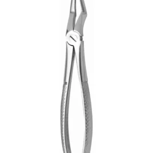 Forcep Adulto Bayoneta Mediano