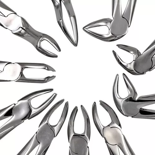 Forcep Adulto Pico loro Fino Nº 74