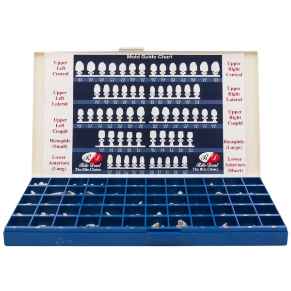 Kit de 180 Coronas de Polycarbonato Surtidas 180 un. - Rite Dent