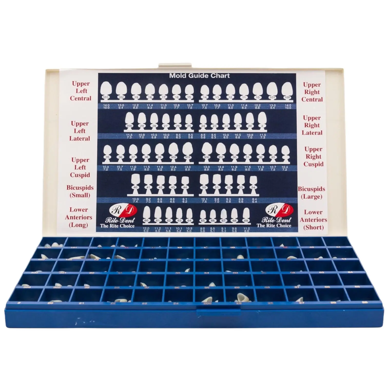 Kit de 180 Coronas de Polycarbonato Surtidas 180 un. - Rite Dent